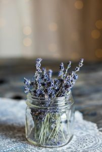  Home decor English Lavender