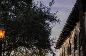 Establishing a Balanced Routine: My Daily, Weekly, and Monthly Habits Daily Routine