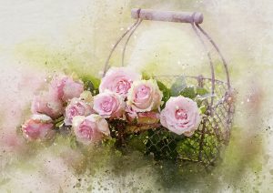 Green Gifts