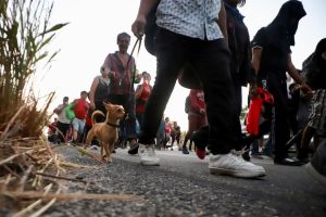 Migrants walk in a caravan in an attempt to reach the U.S. border, in Arriaga, Chiapas state, Mexico January 8.