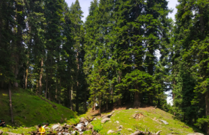 The Most Beautiful Destinations in Kashmir, Pakistan: A Paradise on Earth Kashmir, Pakistan