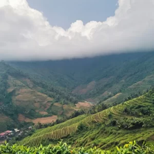 A Paradise of Mist and Clouds